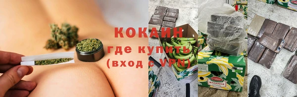 твердый Мегион