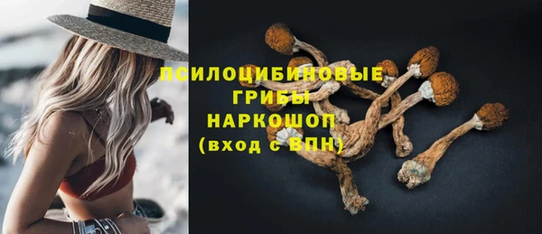 ECSTASY Медвежьегорск