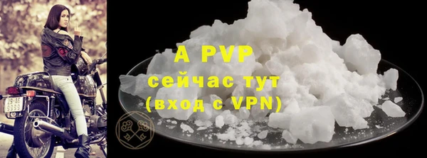 гашик Майский