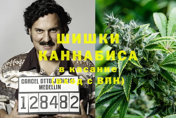 винт Магас