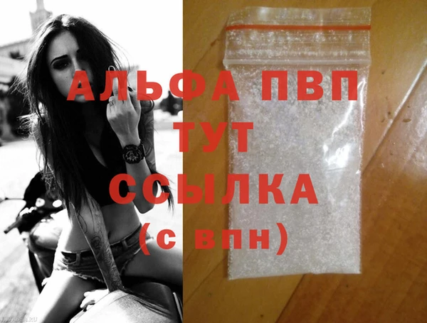 гашик Майский