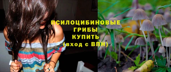 ECSTASY Медвежьегорск