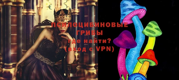 ECSTASY Медвежьегорск