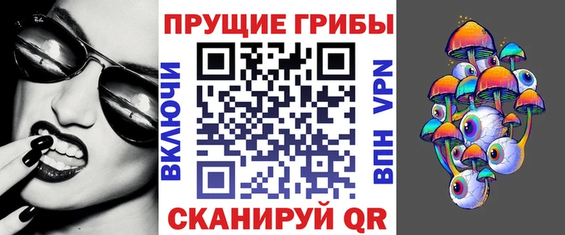 Галлюциногенные грибы GOLDEN TEACHER  Купить закладки  Курчалой 