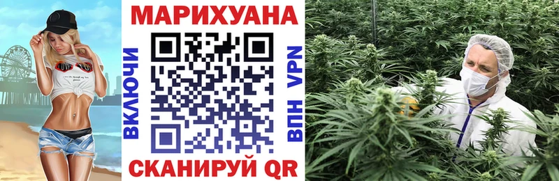 Марихуана SATIVA & INDICA  Купить  Курчалой 